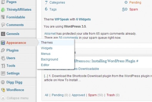 WordPress 101: Installing WordPress Theme