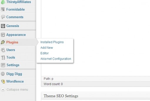 WordPress 101: Installing WordPress Plugin