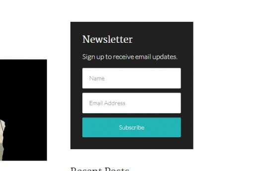 Add Newsletter Subscribe Form in Genesis Framework