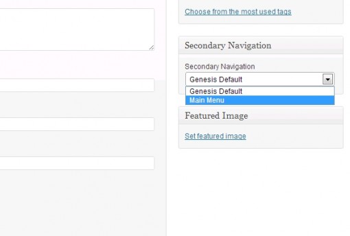 Conditional Secondary Menu With Genesis Framework