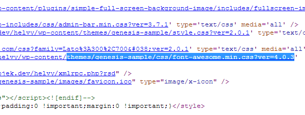 Load Font Awesome Icon Font