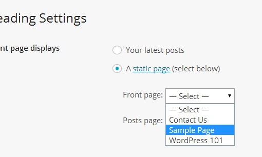 How to Use Static Page as Homepage in WordPress