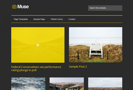 Introducing Muse Theme